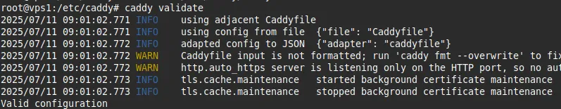 Hướng dẫn cài đặt Caddy Webserver trên Ubuntu 24.04 chi tiết từ A đến Z 21 Kiểm tra lỗi cú pháp