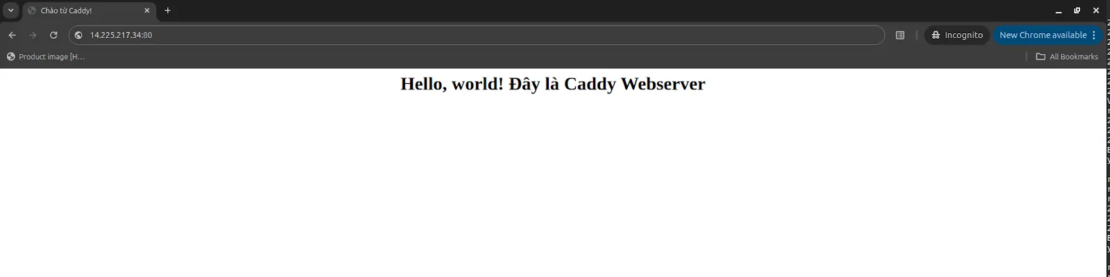 Hướng dẫn cài đặt Caddy Webserver trên Ubuntu 24.04 chi tiết từ A đến Z 22 Hiển thị nội dung từ index