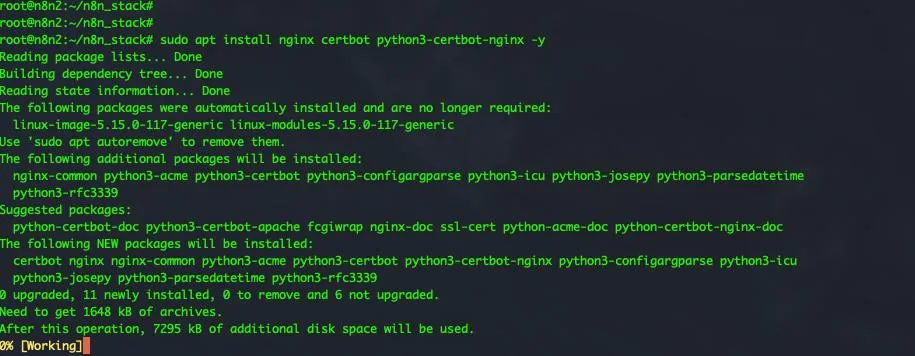 fig: Quá trình cài đặt Nginx và Certbot đang tiến hành