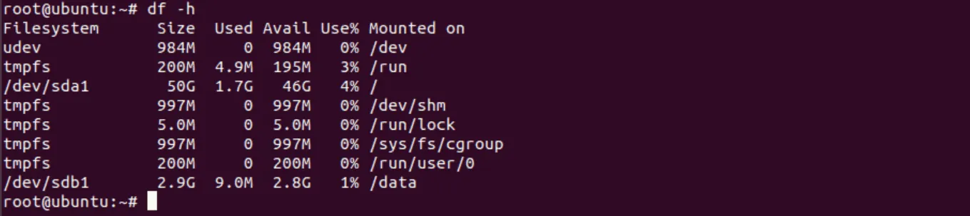 Cách phân vùng ổ cứng Ubuntu Linux bằng FDISK 19 Lắp đặt phân vùng - Nguồn: Internet