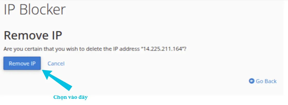 Hướng dẫn cách chặn IP truy cập vào website bằng cPanel nhanh chóng 17 Bỏ chặn IP