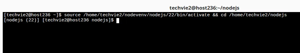 Hướng dẫn cách cài đặt NodeJS App trên cPanel 27 Chạy các lệnh cấu hình app Node.js