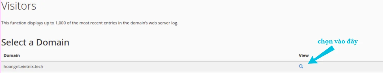 Hướng dẫn cách kiểm tra Visitors trên cPanel nhanh chóng 10 Chọn tên miền để xem Visitors