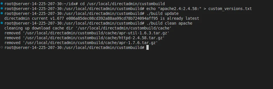 Hướng dẫn cách hạ cấp phần mềm trên DirectAdmin nhanh chóng 12 Chuẩn bị cài đặt Apache 2.4.58