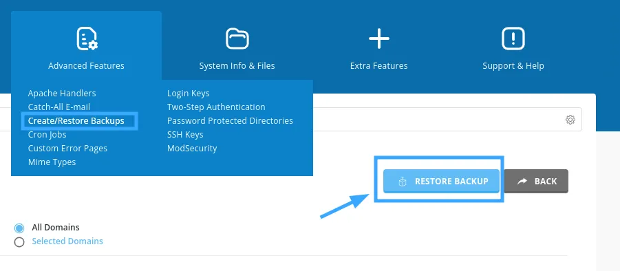 2 cách chuyển tên miền từ User này sang User khác trên DirectAdmin 22 Chọn Restore backup