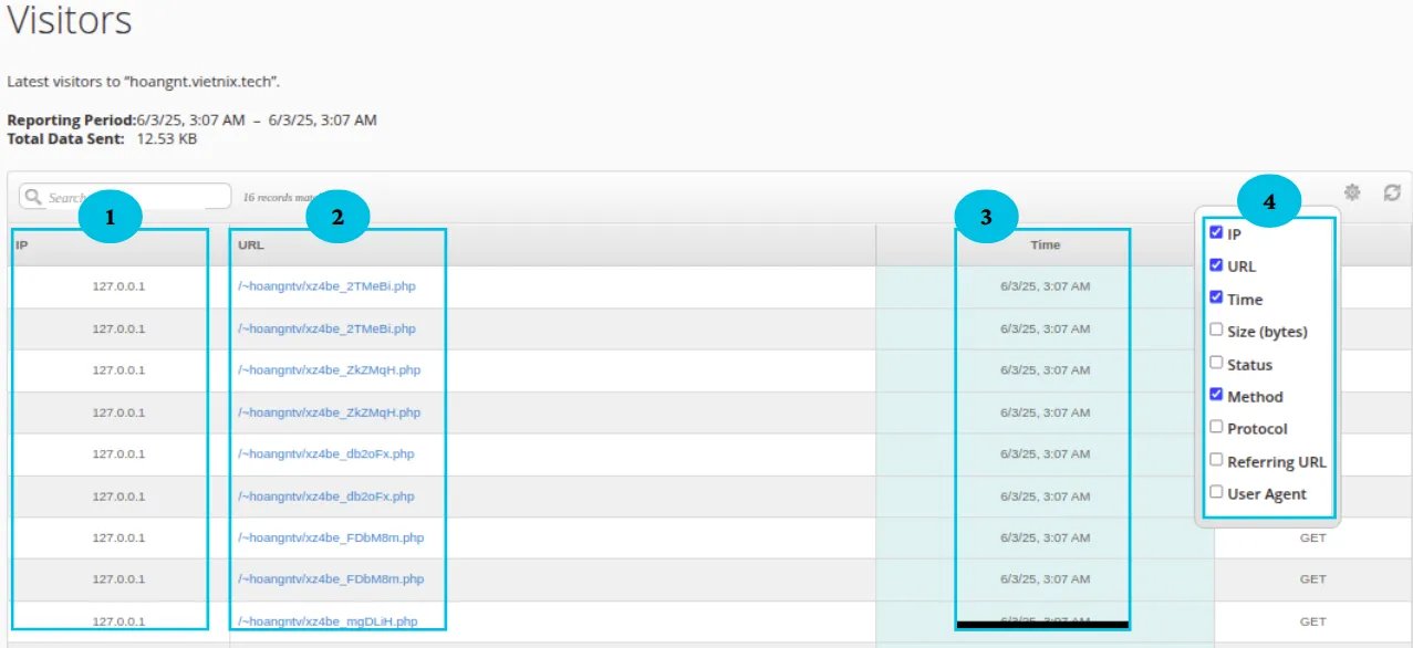 Hướng dẫn cách kiểm tra Visitors trên cPanel nhanh chóng 11 Đọc và tùy chỉnh thông tin Visitors