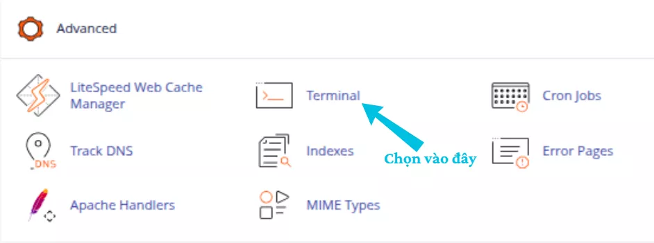Hướng dẫn import database bằng lệnh với Terminal 14 Truy cập Terminal