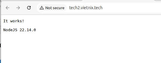 Hướng dẫn cách cài đặt NodeJS App trên cPanel 24 Ứng dụng đã hoạt động
