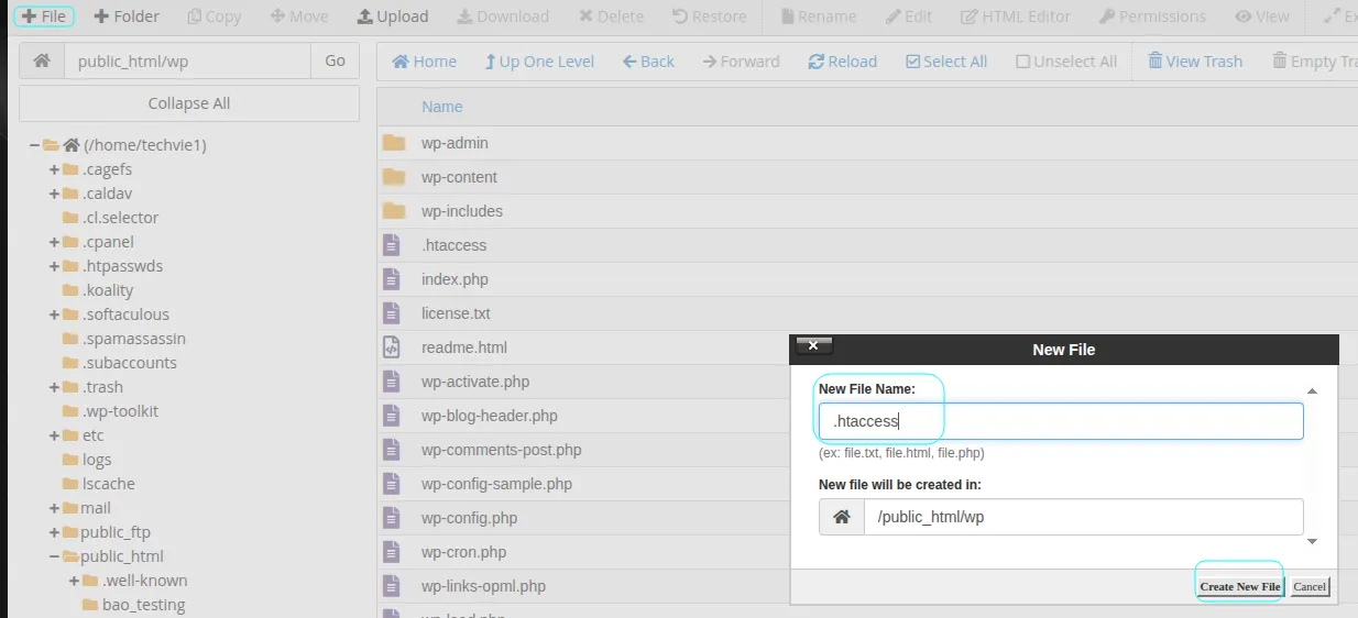 Hướng dẫn quản lý MIME Types trên cPanel đơn giản 10 Bước 1 cách quản lý MIME Types trên cPanel