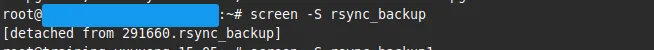 Hướng dẫn chi tiết sử dụng RSYNC Clone VPS 11 thực hiện RSYNC để clone VPS hoàn chỉnh