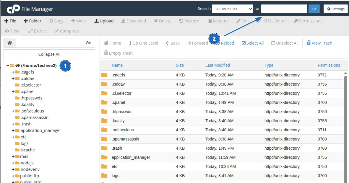 Hướng dẫn sửa lỗi mất cấu hình môi trường trên cPanel với 2 bước 20 Kiểm tra thông tin file cấu hình shell cho user