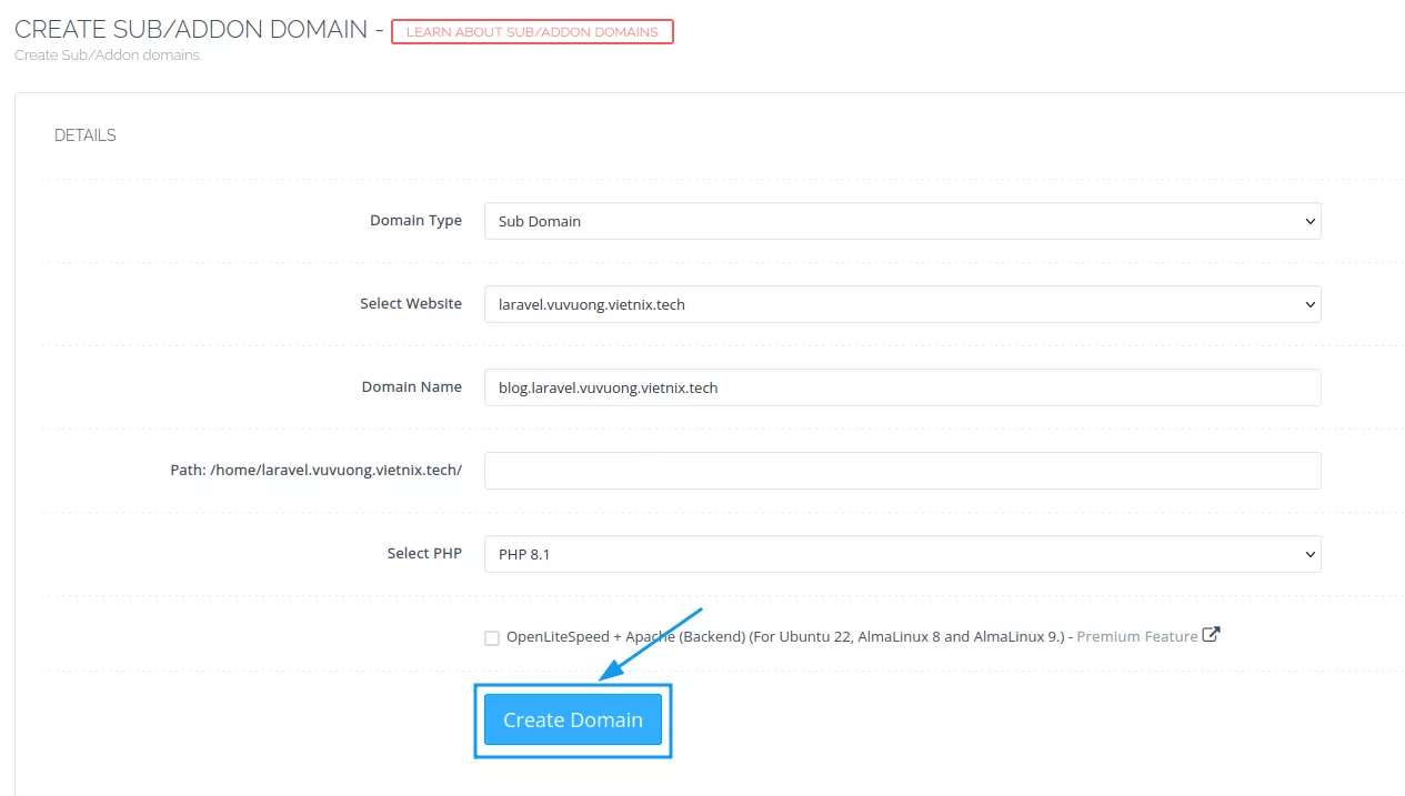 Hướng dẫn tạo subdomain trên CyberPanel trong 3 bước 16 Điền thông tin subdomain