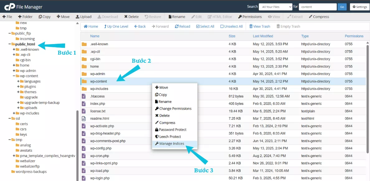 Hướng dẫn tắt Index thư mục trong cPanel nhanh chóng 14 chọn Manage Indices