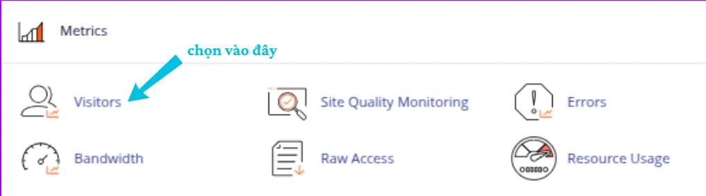 Hướng dẫn cách kiểm tra Visitors trên cPanel nhanh chóng 9 Truy cập công cụ Visitors trên cPanel