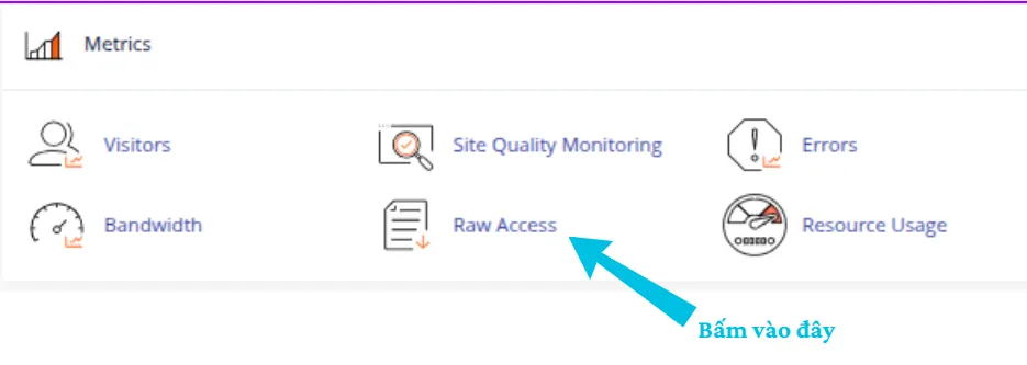Hướng dẫn 2 cách xem vết truy cập Raw Access trên cPanel chi tiết 13 Truy cập Raw Access trên cPanel