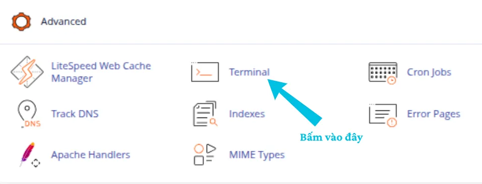 Hướng dẫn 2 cách xem vết truy cập Raw Access trên cPanel chi tiết 16 Truy cập Terminal trên cPanel