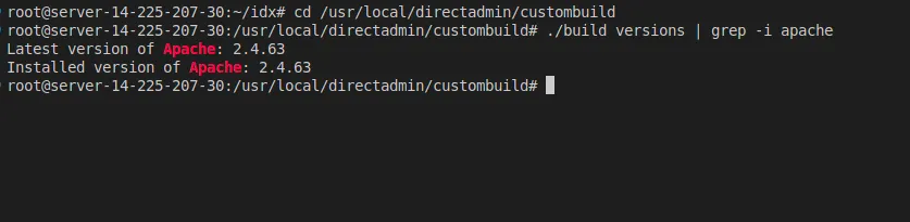 Hướng dẫn cách hạ cấp phần mềm trên DirectAdmin nhanh chóng 11 Version hiện tại của Apache là 2.4.63
