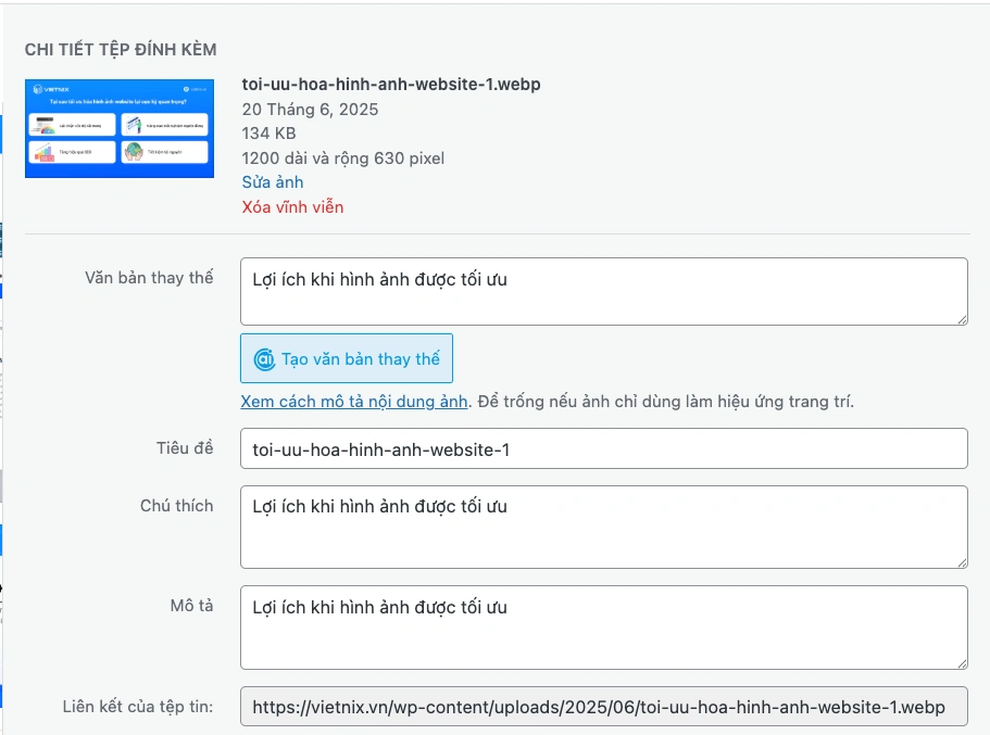 Bổ sung ALT Text và caption khi đăng ảnh lên website