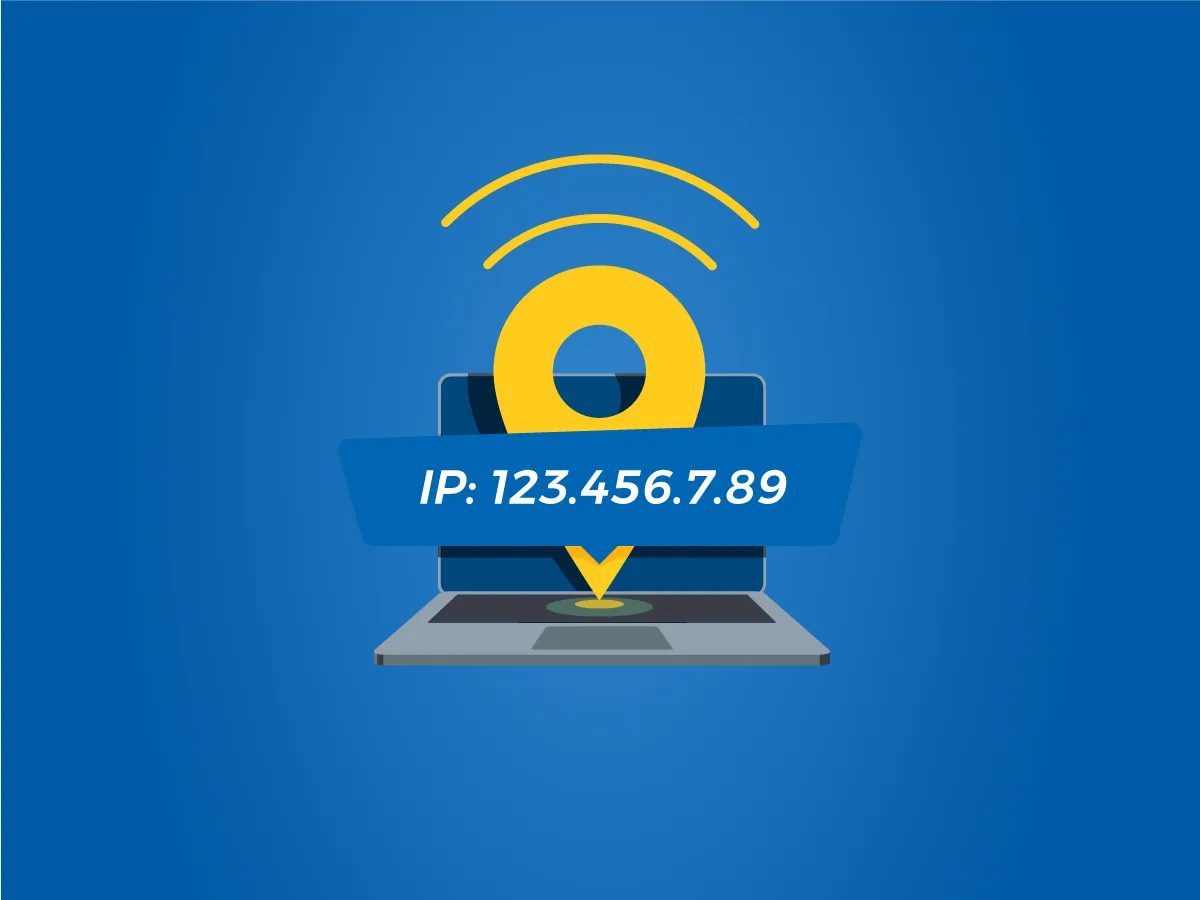 SEO Hosting là gì? Lợi ích và cách phân biệt Hosting với SEO Hosting 21 Phân tán địa chỉ IP (Nguồn: Internet)