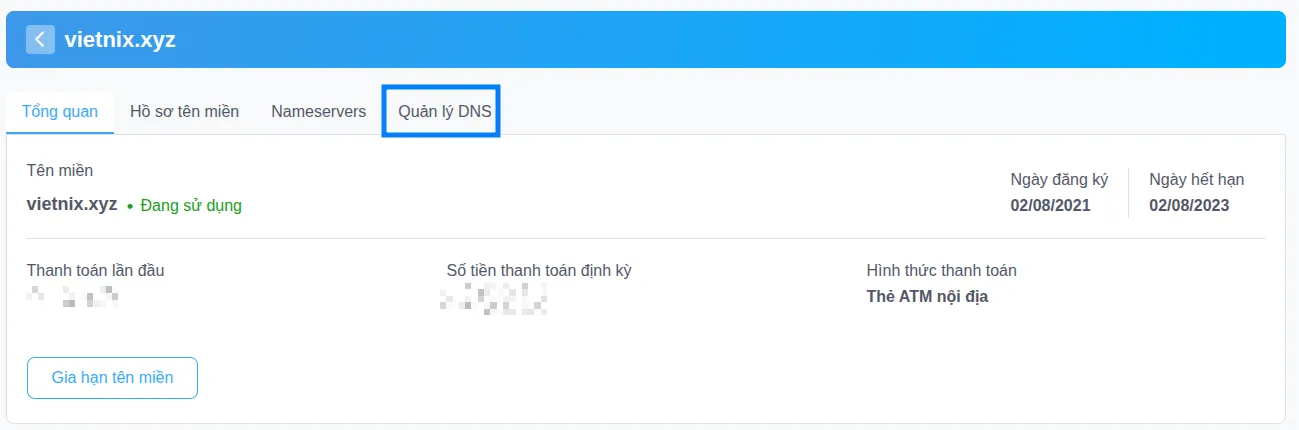 Tìm tab Bản ghi DNS