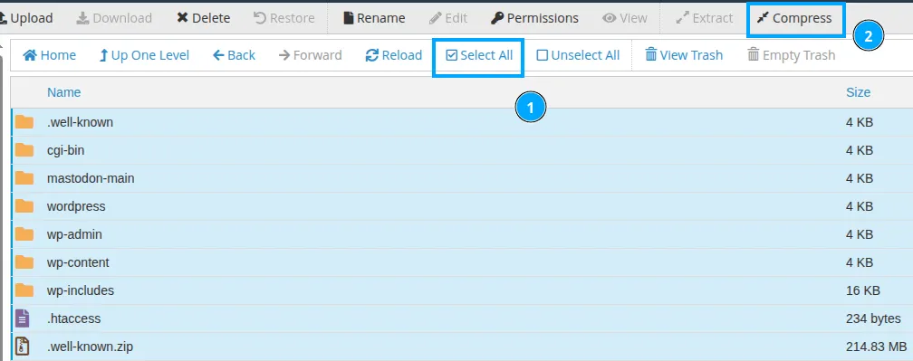 Hướng dẫn 3 cách lấy source code website WordPress đơn giản và chi tiết 32 Chọn Compress