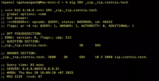 SRV Record là gì? Cấu trúc, lợi ích và cách cấu hình chi tiết 31 Kiểm tra bằng lệnh dig là chính xác nhất