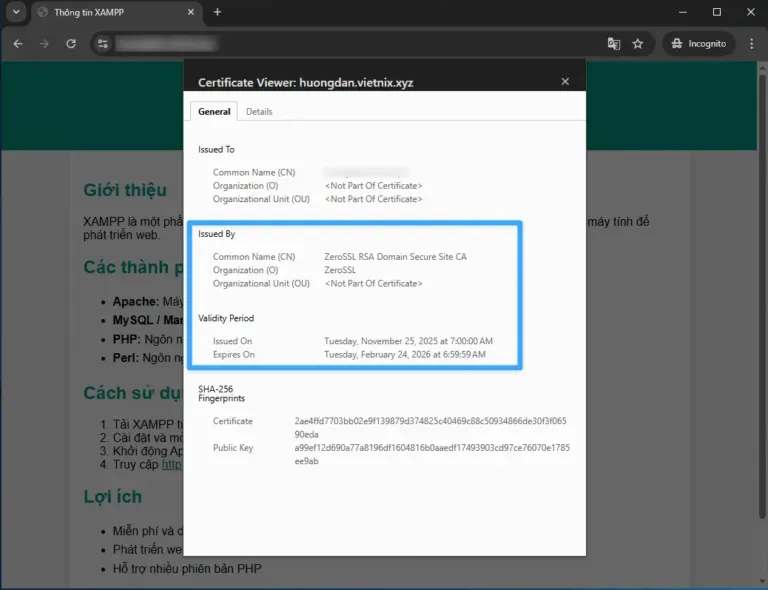 Kiểm tra kết quả