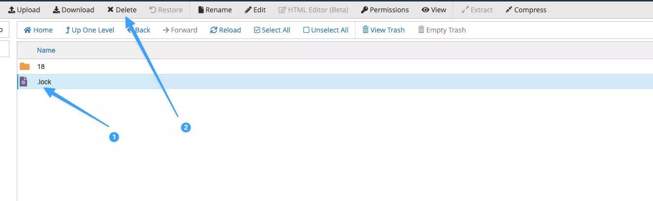 Xóa file .lock qua File Manager 