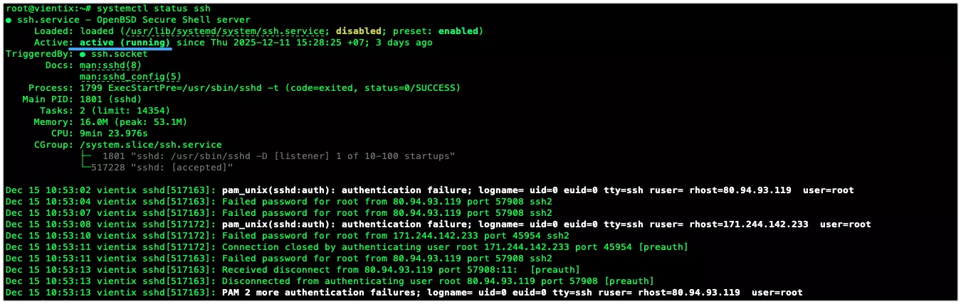 Hướng dẫn xử lý lỗi Login Failed vào Terminal trên aaPanel chi tiết 13 Kiểm tra trạng thái dịch vụ SSH trên VPS