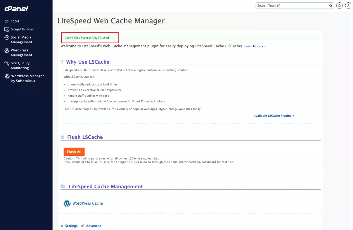 Thông báo xóa LiteSpeed Cache trên cPanel đã hoàn tất