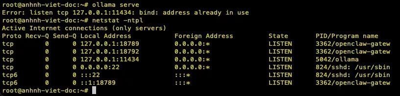Khởi chạy máy chủ Ollama 