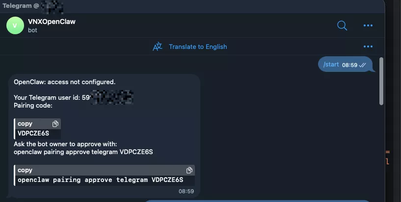 Gửi một tin nhắn bất kỳ cho bot Telegram 