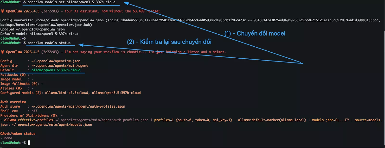 Thiết lập model mới 