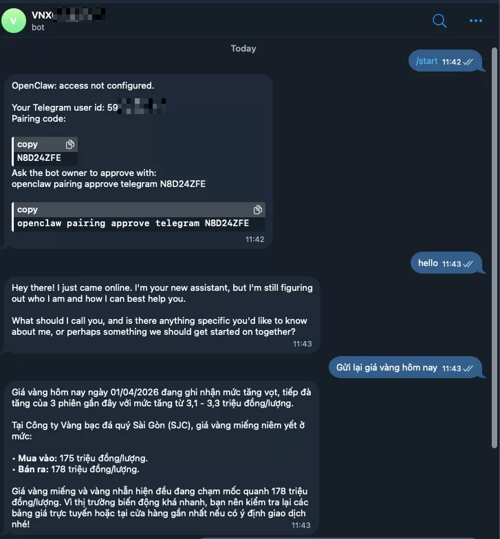 Hướng dẫn kết nối OpenClaw với Telegram sử dụng Google Gemini để tạo chatbot AI 43 Kết nối thành công OpenClaw với Telegram