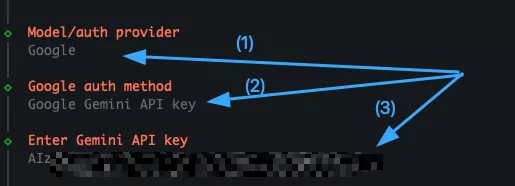 Hướng dẫn kết nối OpenClaw với Telegram sử dụng Google Gemini để tạo chatbot AI 32 Cấu hình thêm Google auth method và điền Gemini API Key